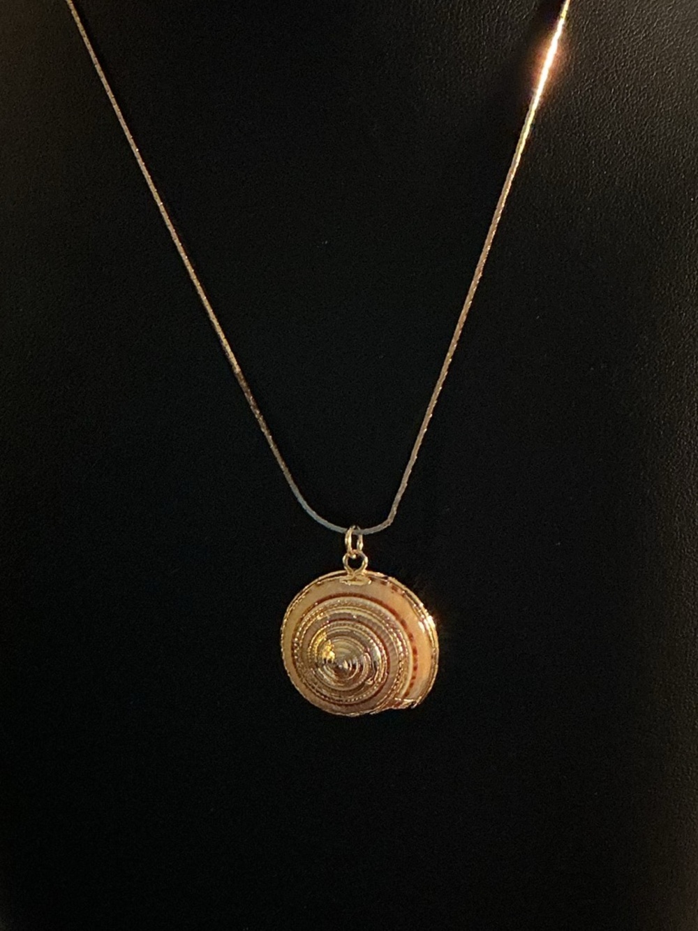 Natural Land Snail Shell Gold Tone Electroplated Pendant Necklace - Picture 2 of 4